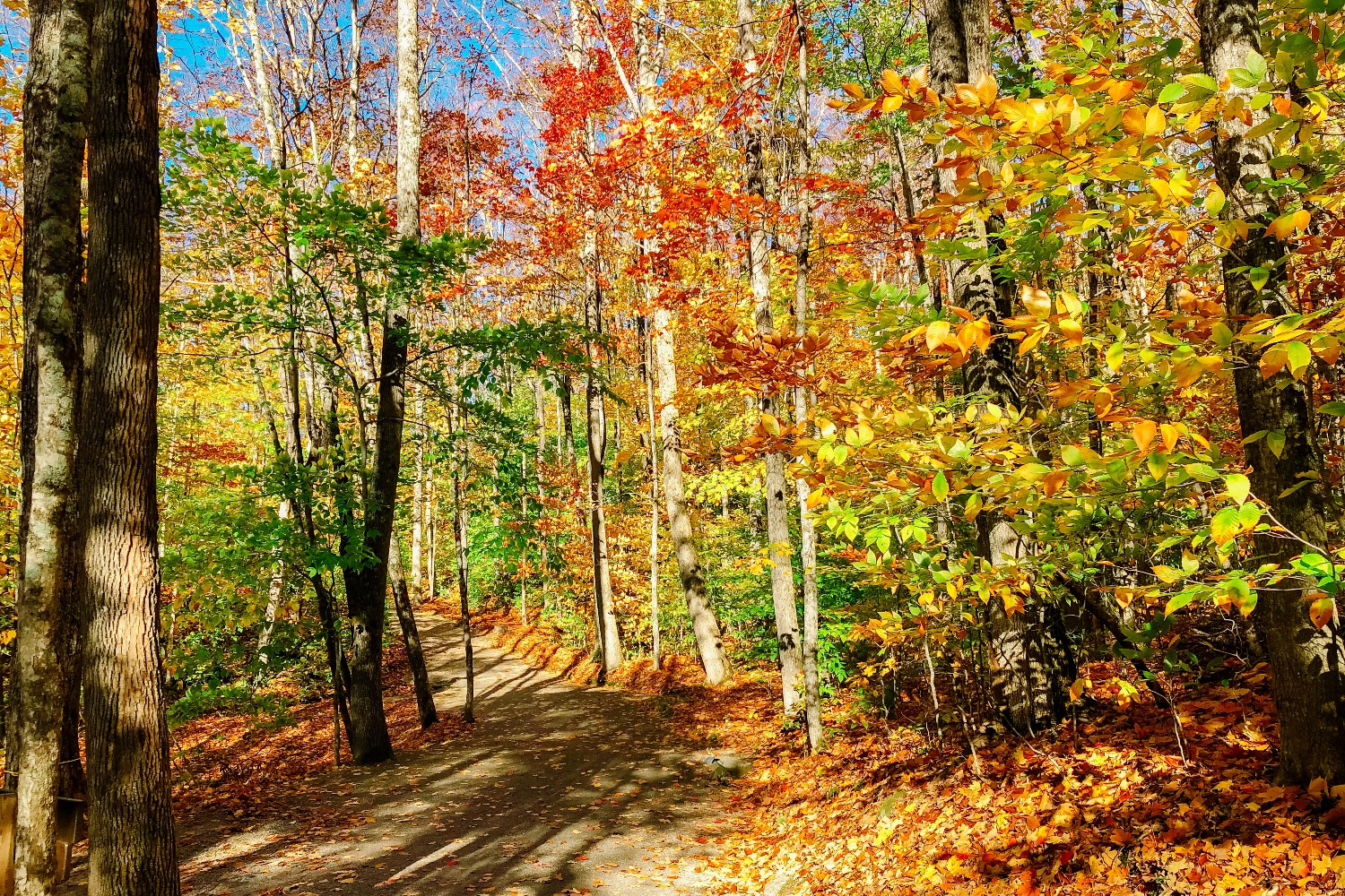 New Hampshire Hiking